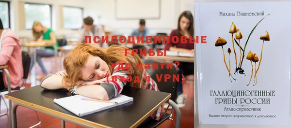 гидра Михайлов