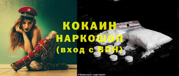 шишки Михайловск
