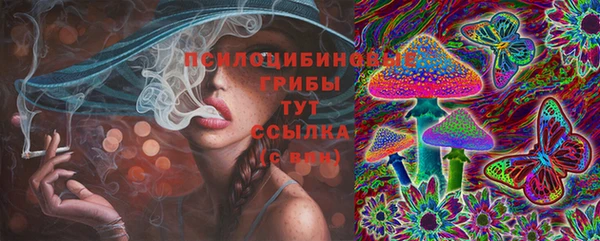 гидра Михайлов