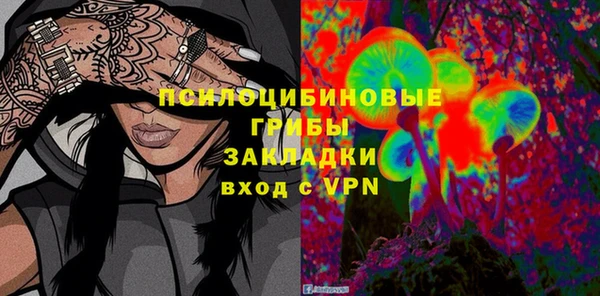 гидра Михайлов