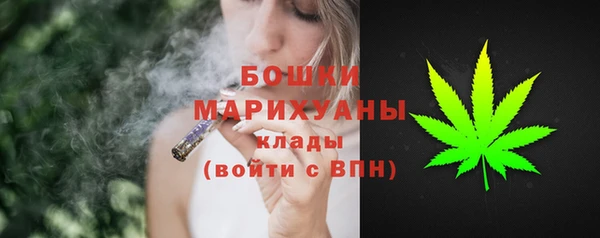 шишки Михайловск