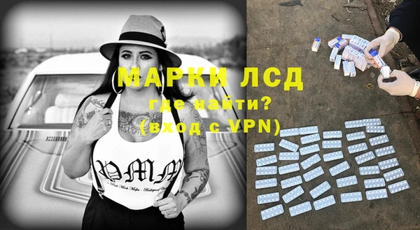 шишки Михайловск