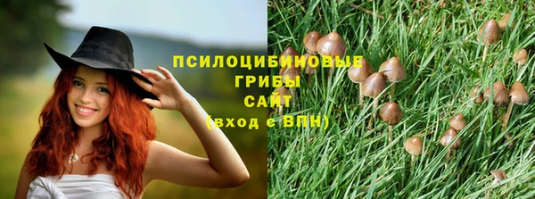 гидра Михайлов