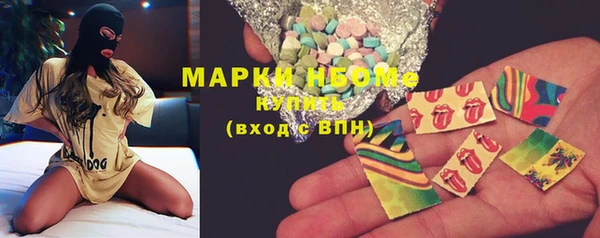 шишки Михайловск