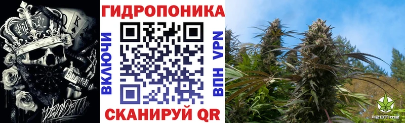 Бошки Шишки THC 21%  наркота  Тырныауз 